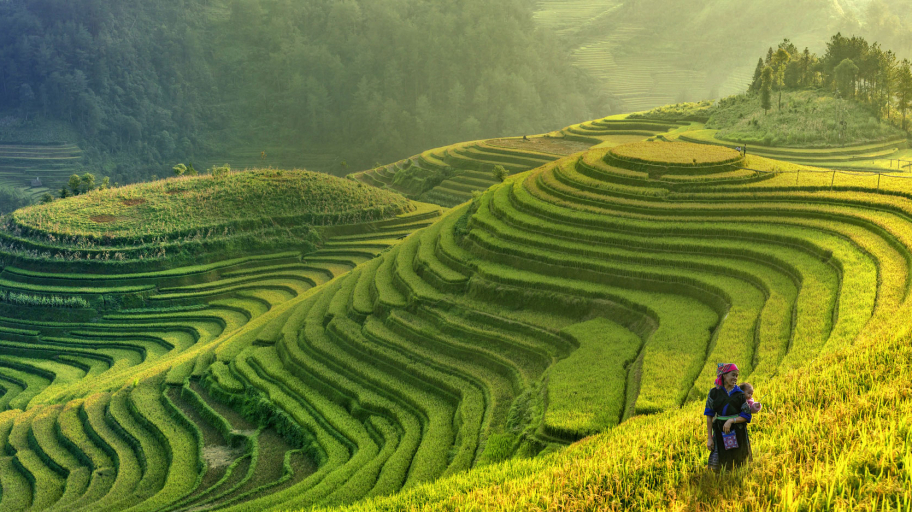 vietnam